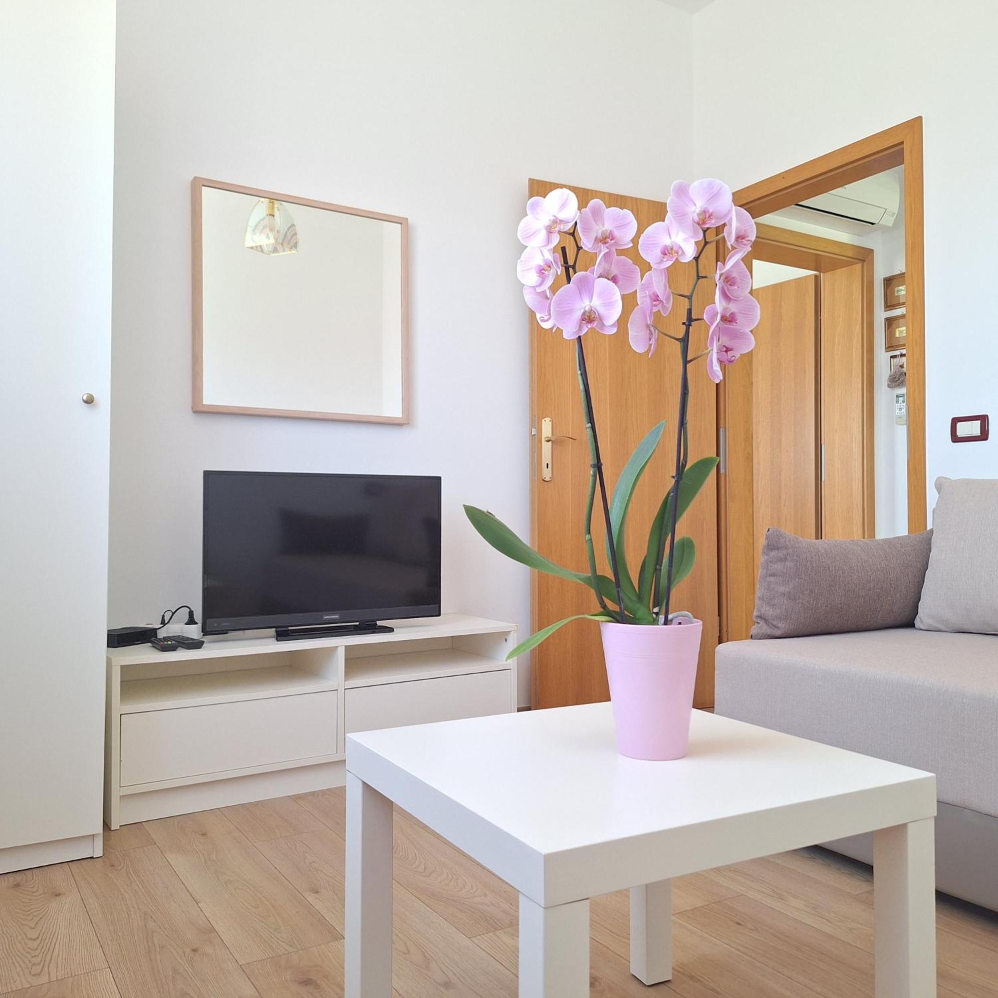 Apartment Mita Ґрожнян Екстер'єр фото